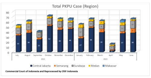 Total PKPU Case (Region)